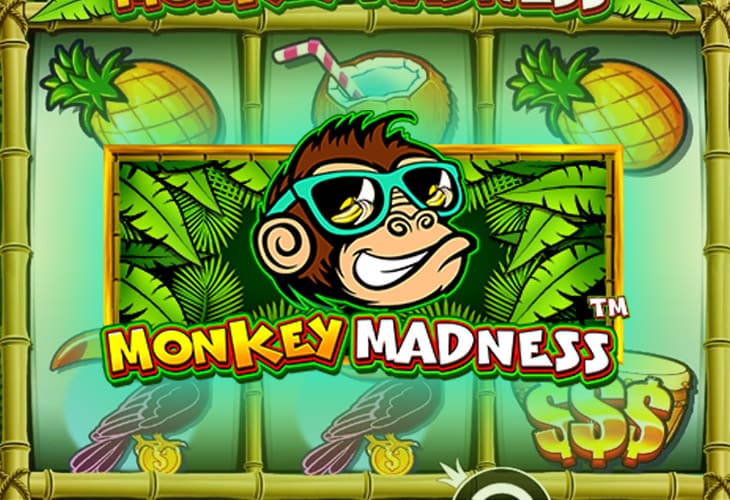 Monkey Madness - Pragmatic Play slot at Snatch Casino Casino